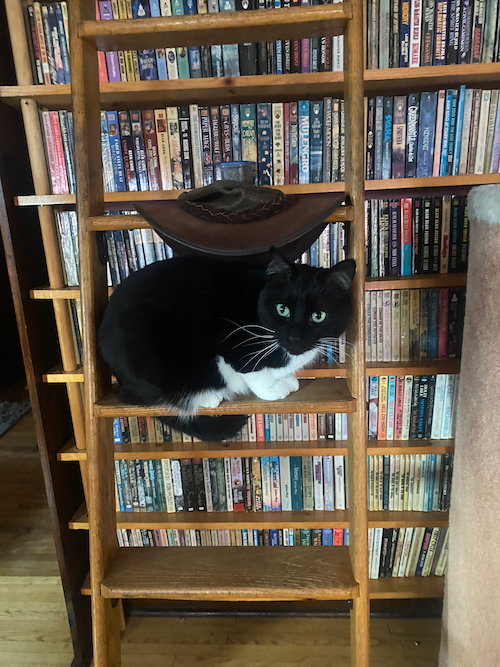 Kelly McCullough Author