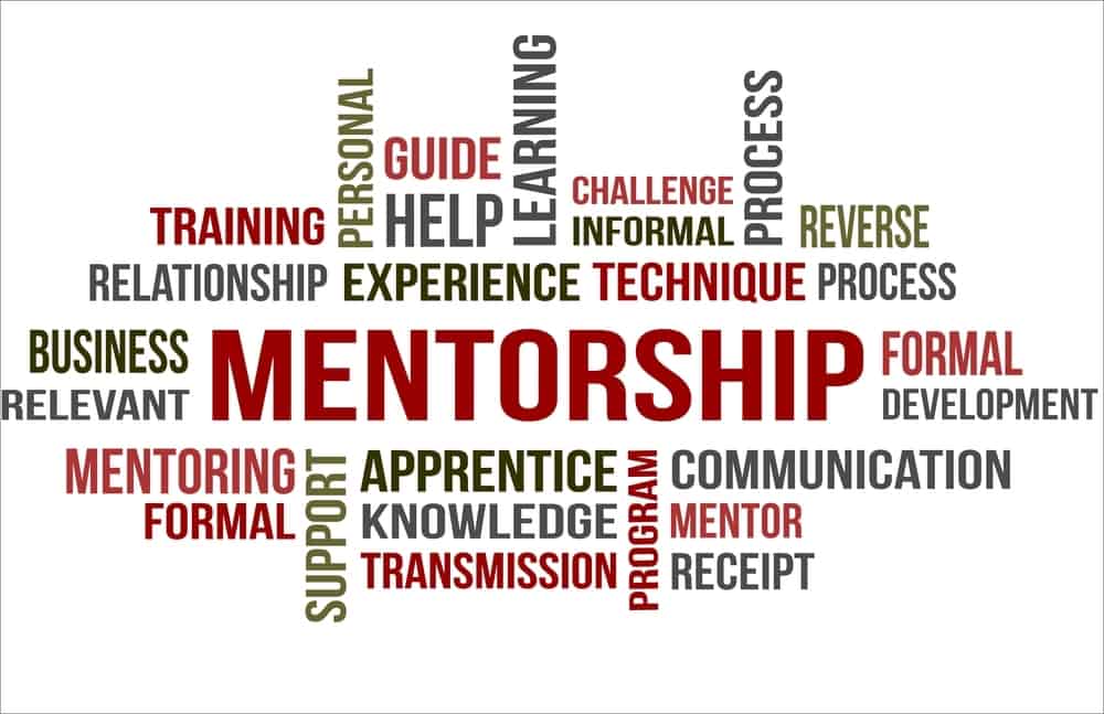 Mentor Your Successor With Vision—Part Two Kelly Schols Inc.