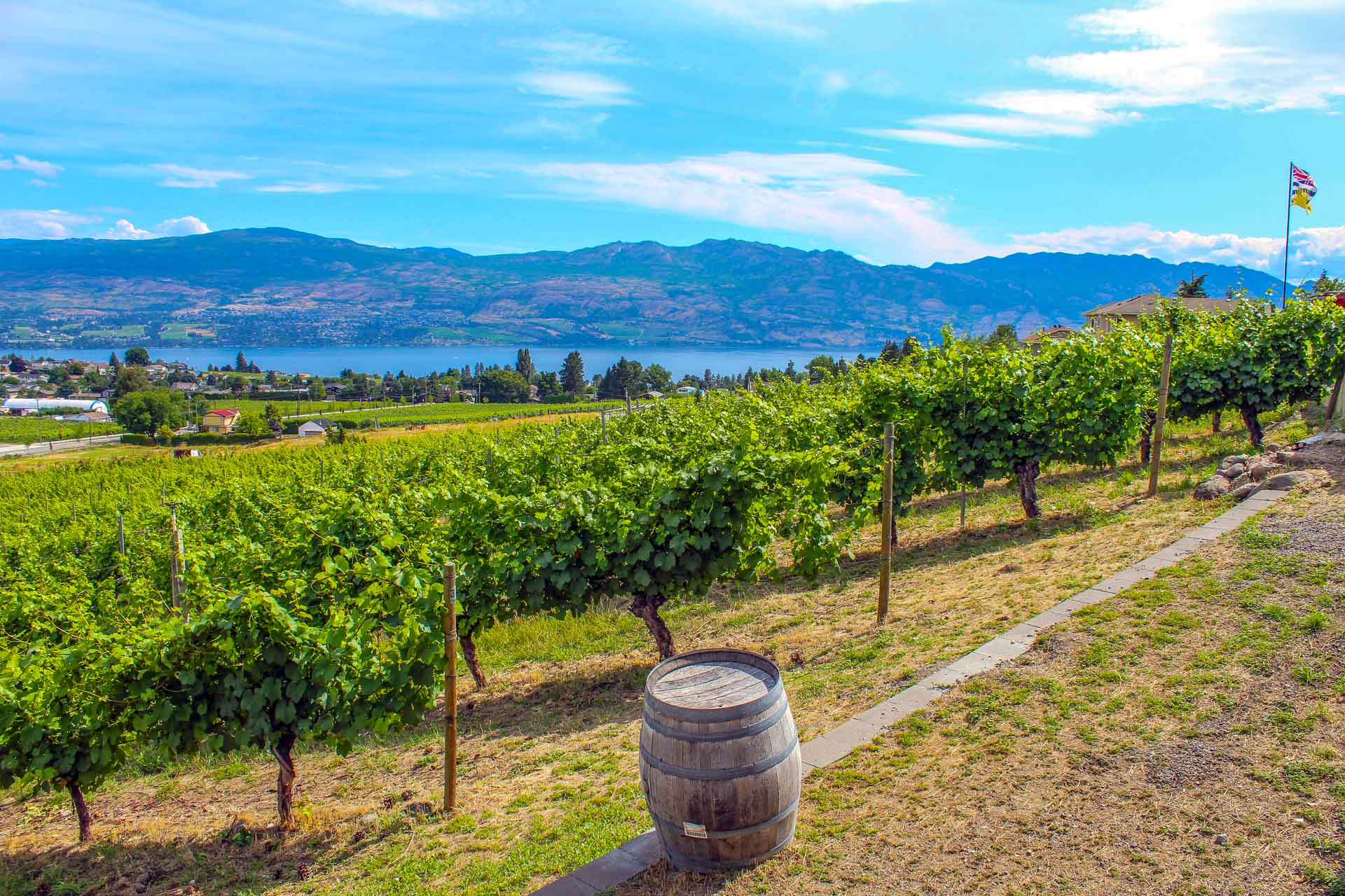 Red Dog Wine Tours Kelowna Tours