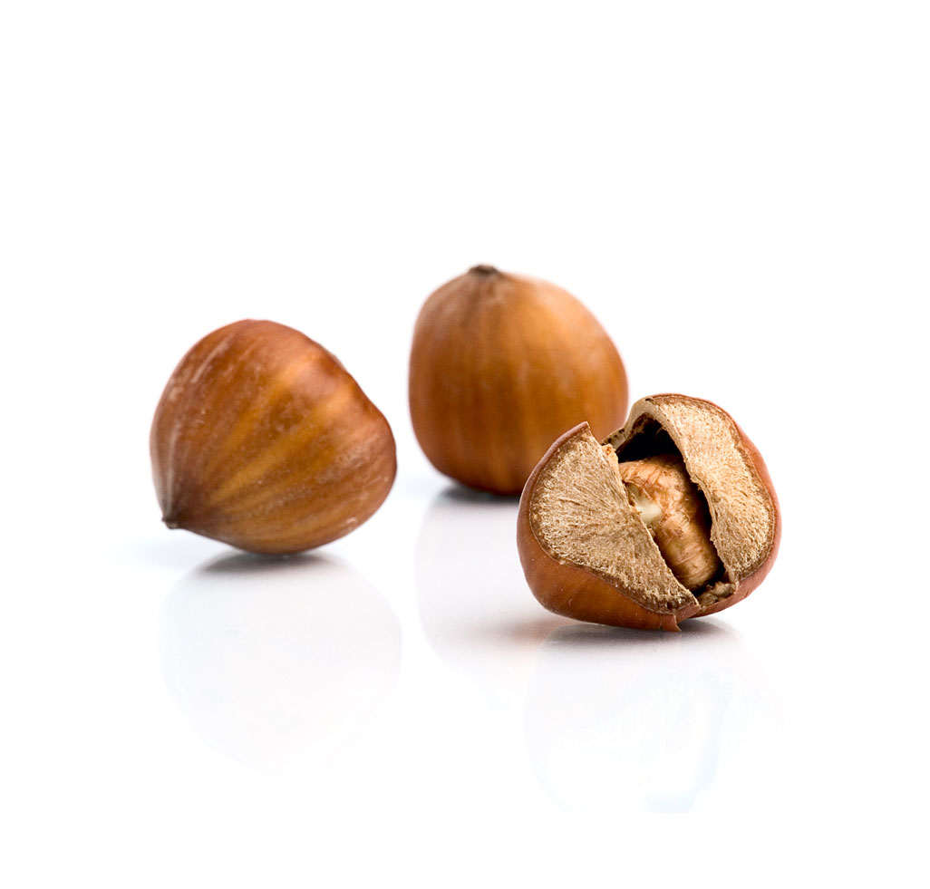 Kelpak on hazelnuts