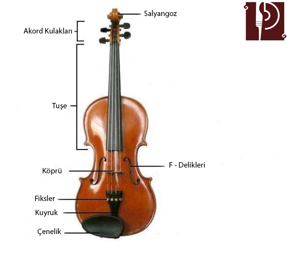 Kemanın Yapısı İzmir Keman Kursu