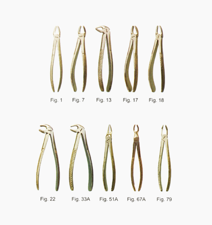 Extracting Forceps (English Pattern) KenRuss Medics Ltd