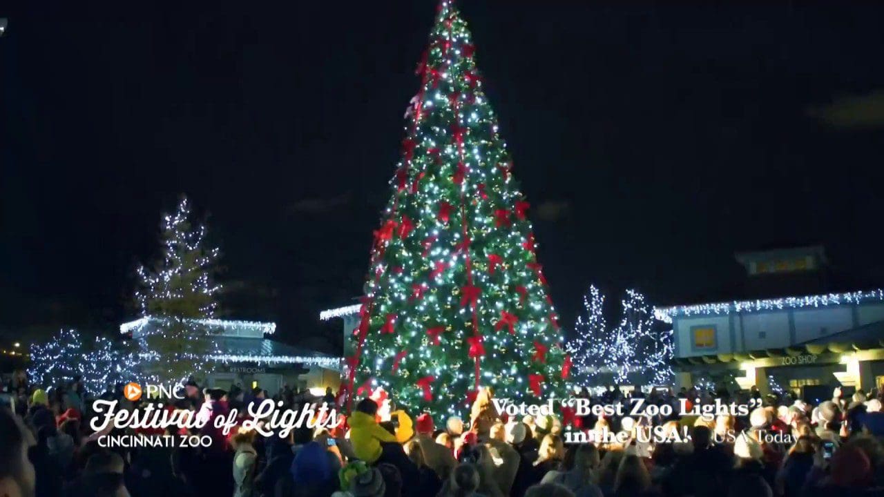 Festival of Lights at the Cincinnati Zoo Ken Anderson Alliance