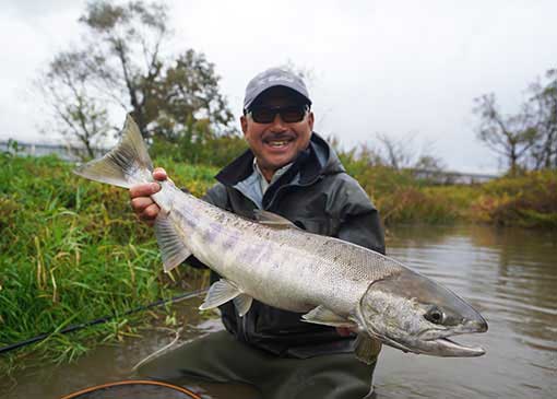 三面川 鮭釣り 2018年11月