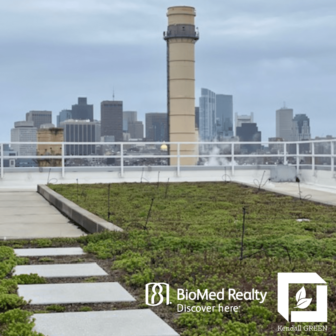 A View from 500 Kendall Kendall Square