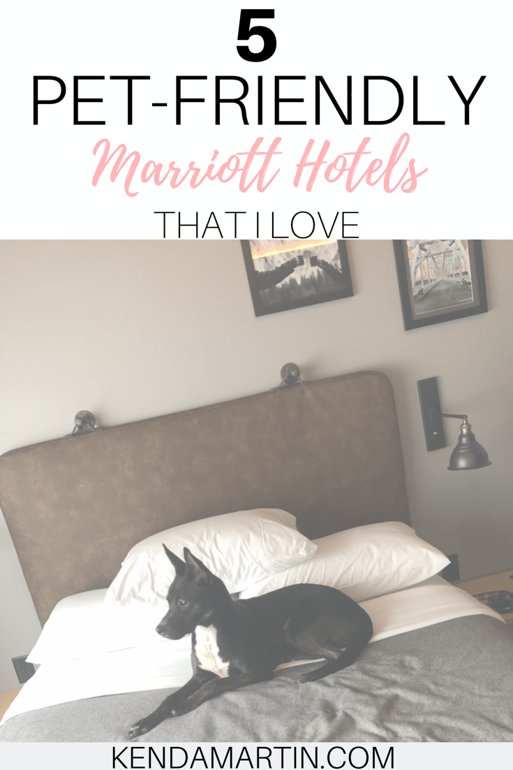 PET FRIENDLY HOTELS Kenda Martin
