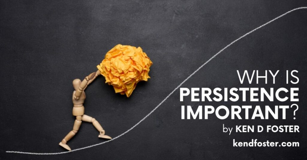Why Is Persistence Important? Ken D Foster