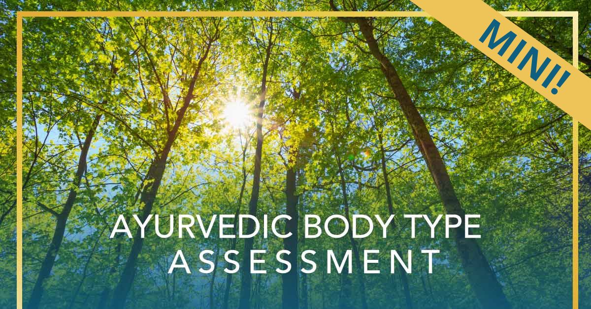 Ayurvedic Mini Body Type Assessment Kendra Irvine