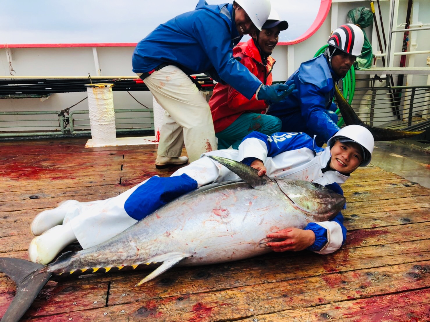 カツオ1本釣り漁師19歳のお話しー 業務スーパーの商品をレポートするブログ