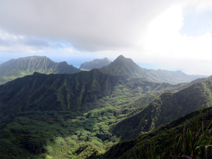 Hiking Waikane to Papali — kenjiSAITO
