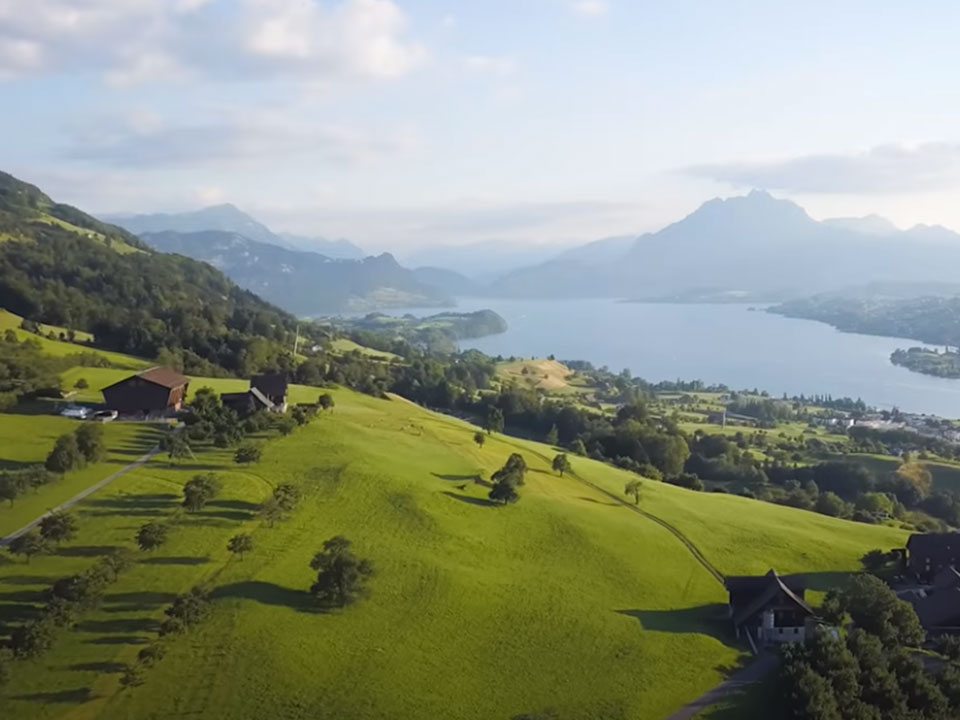 Paper bags for fruits and vegetables Kenmare