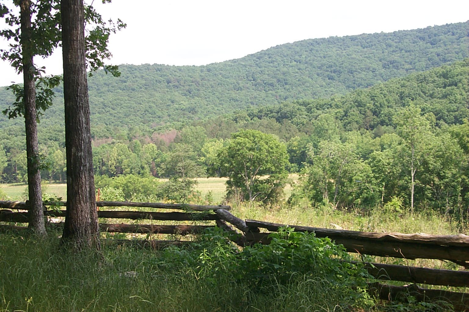 Pisgah Cemetery Kennamer Cove, Alabama