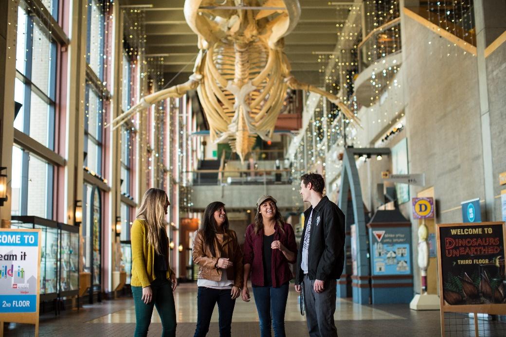 Grand Rapids Public Museum Kennari Consulting