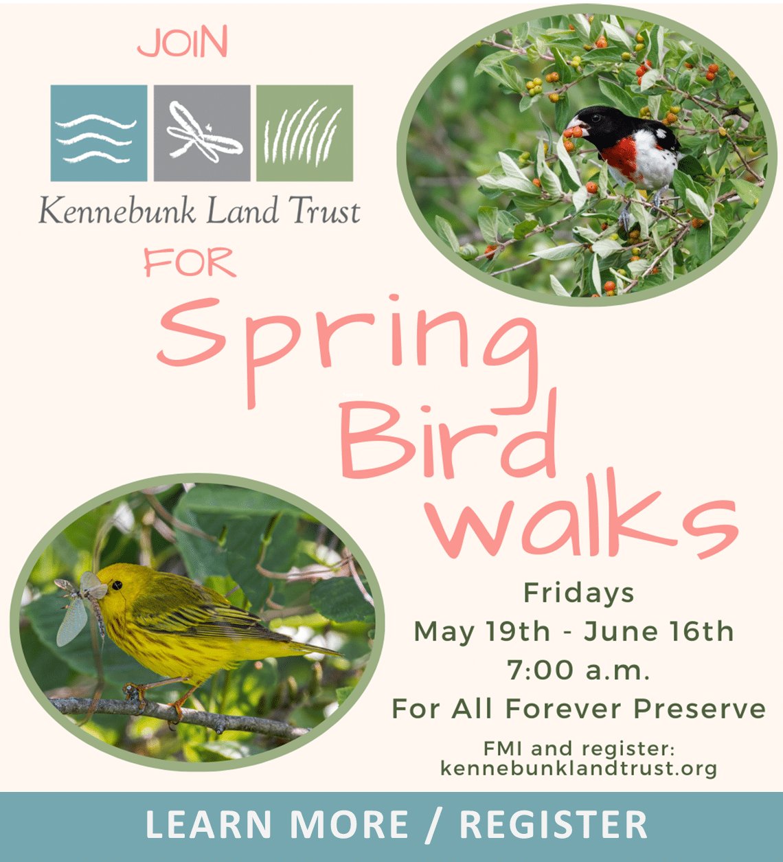 Kennebunk Land Trust Protecting the Natural Areas of Kennebunk & Arundel