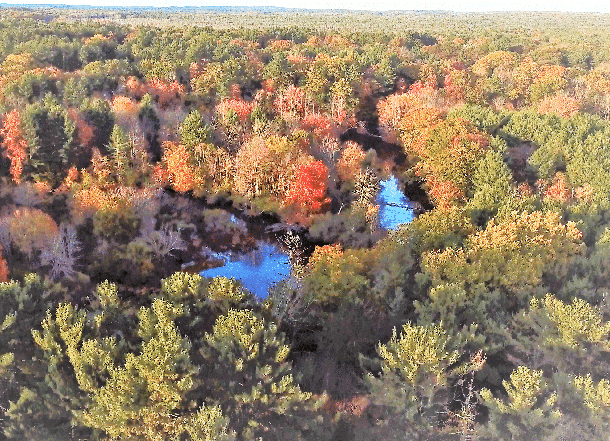 50 x 50 Trail Challenge Kennebunk Land Trust