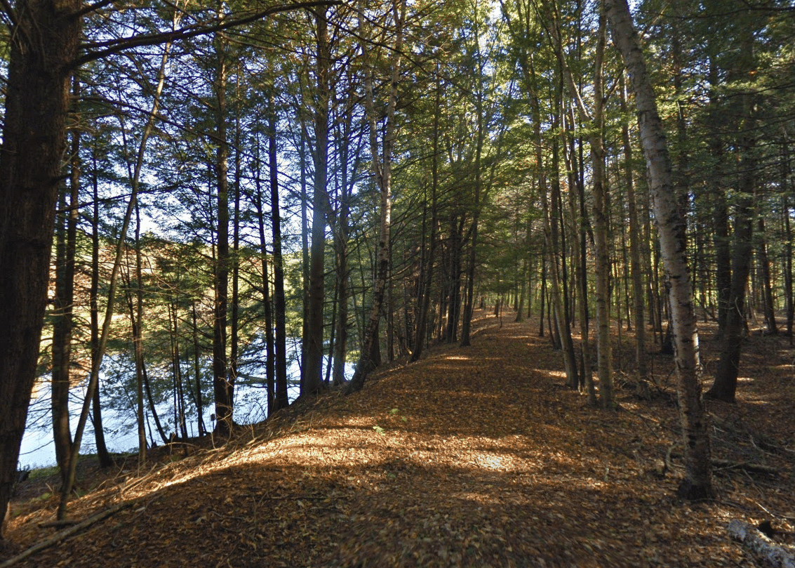 Kennebunk Land Trust Protecting the Natural Areas of Kennebunk & Arundel