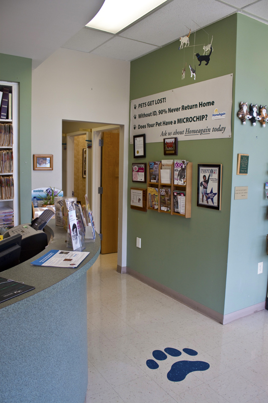Carrboro Plaza Veterinary Clinic Renovation Kennedy Building Company