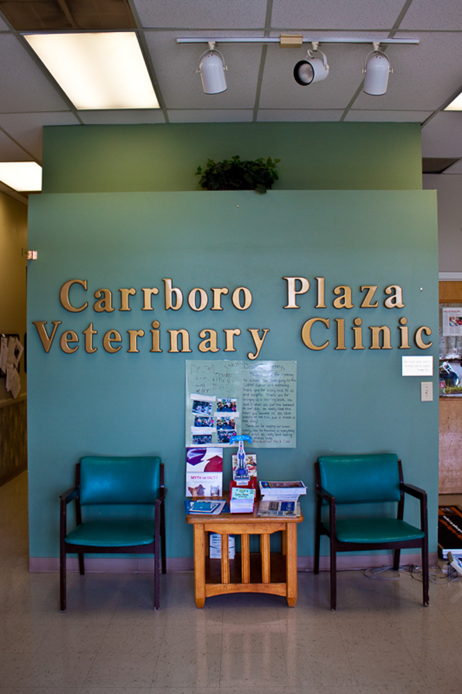 Carrboro Plaza Veterinary Clinic Renovation Kennedy Building Company