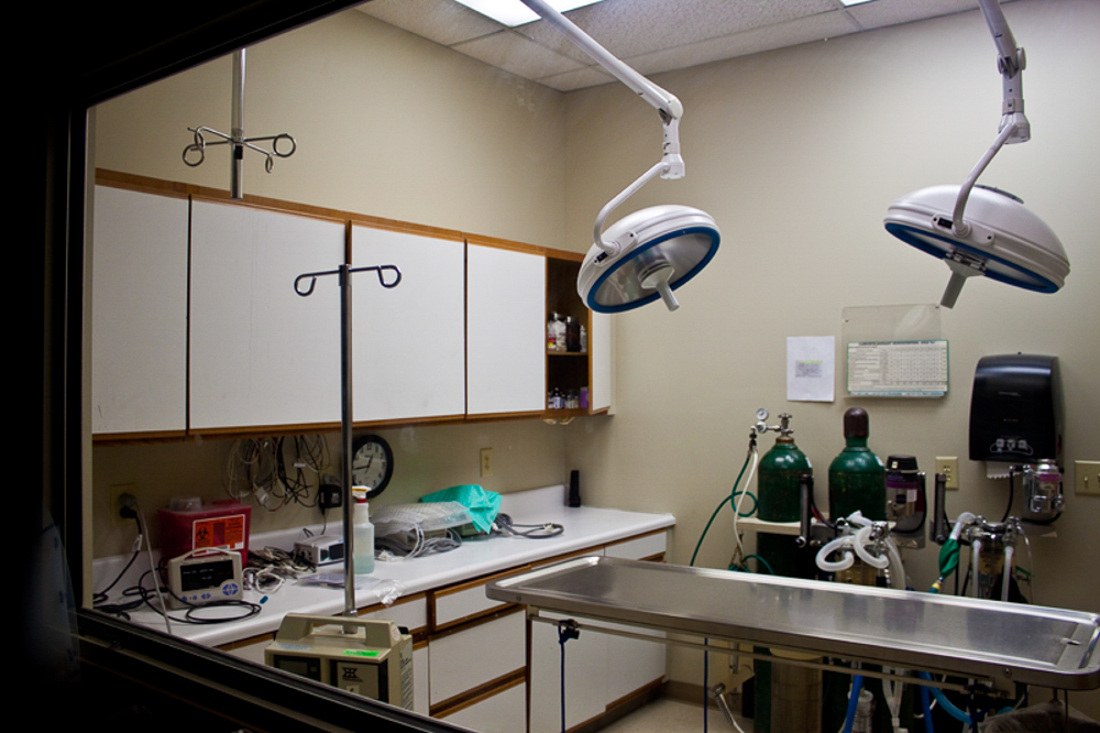 Carrboro Plaza Veterinary Clinic Renovation Kennedy Building Company