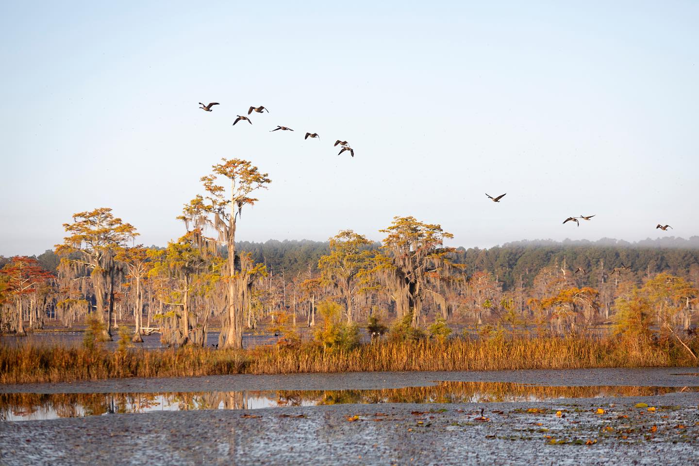 Home Kennedy Pond Conservancy