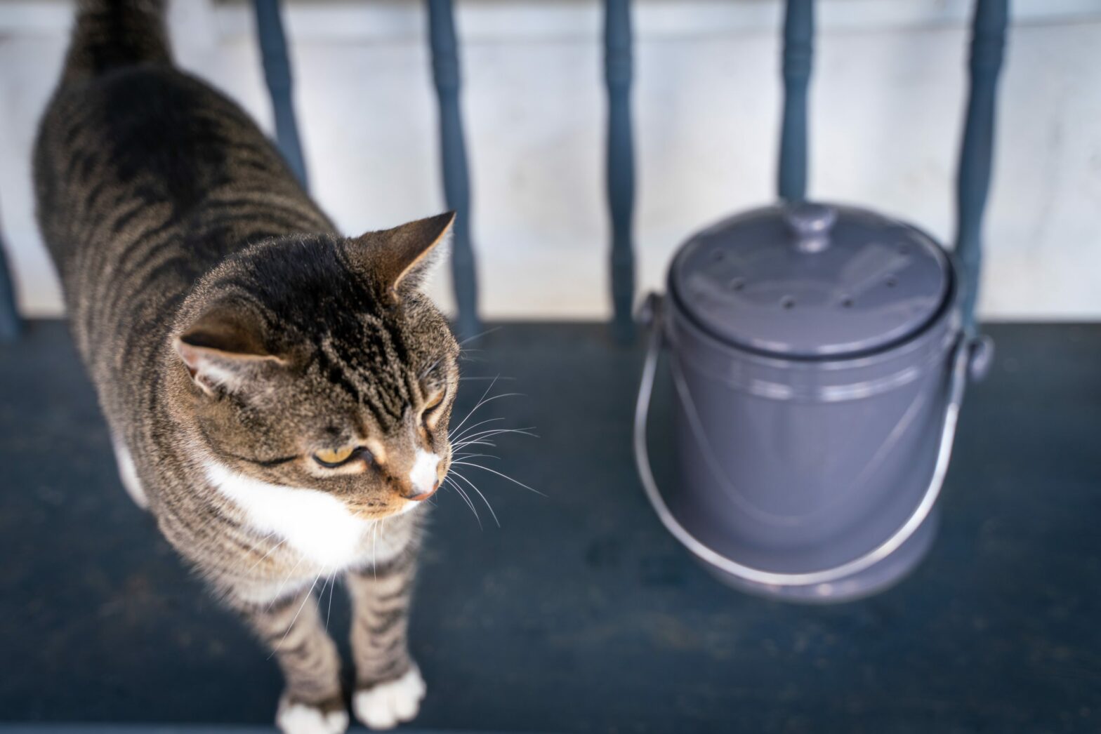 Soil Matters Composting Service Now Available in Collaborative