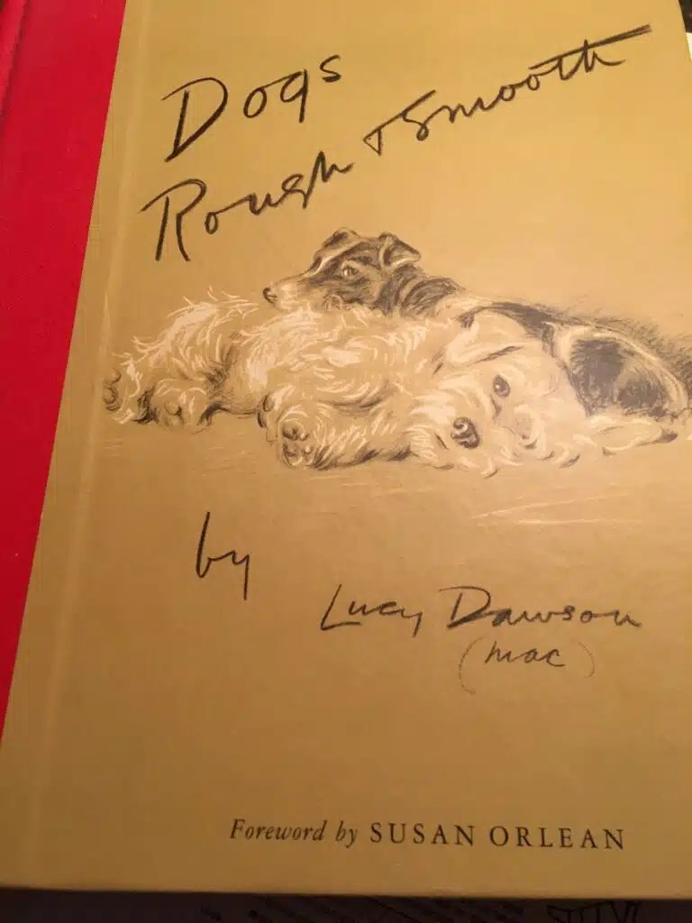 Book Review Dogs Rough & Smooth Veterinary Clinic