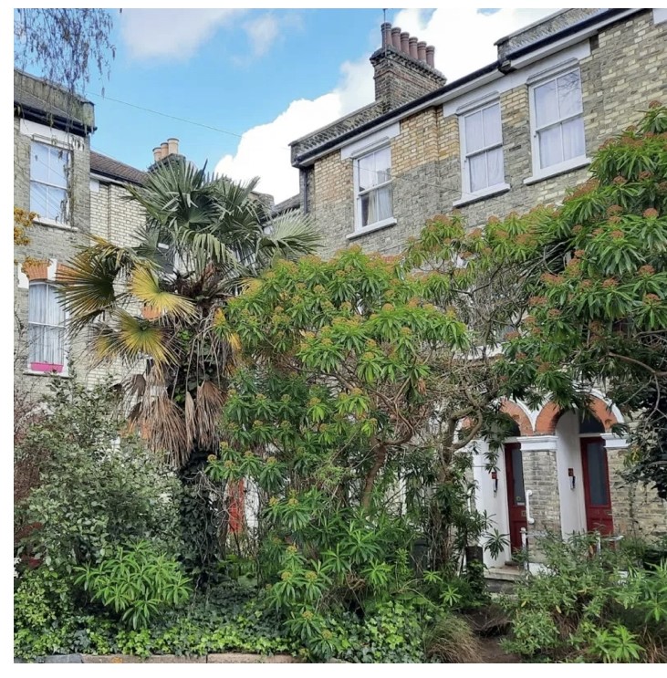 The Mavericks of Bonnington Square Kennington Runoff