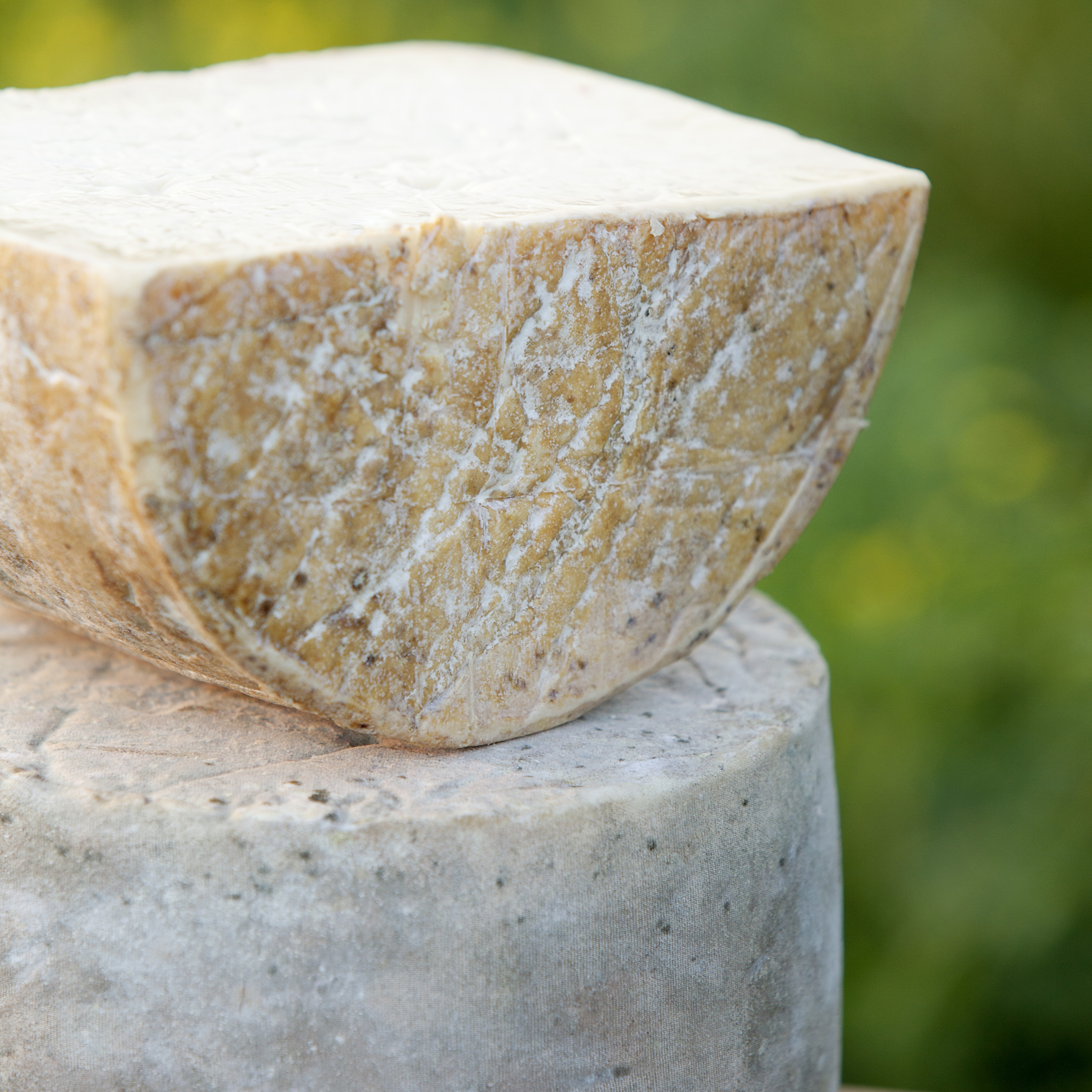 Kentucky Rose Kenny's Farmhouse Cheese