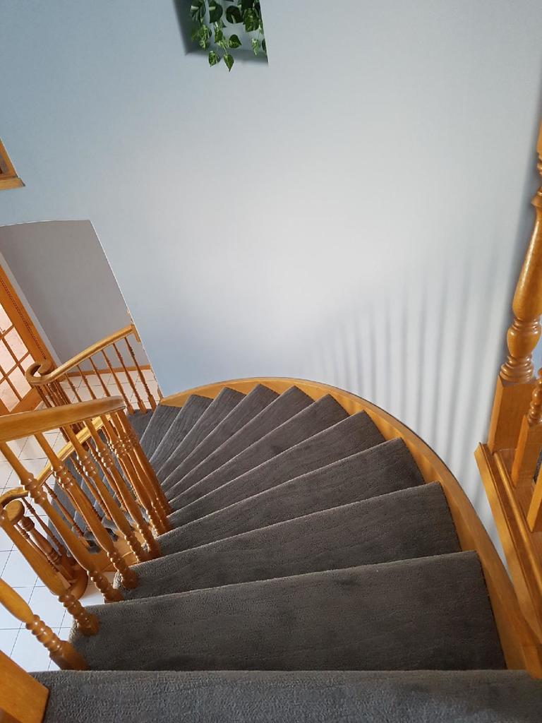 Luxury Vinyl Plank Flooring Hardwood Flooring Laminate Flooring