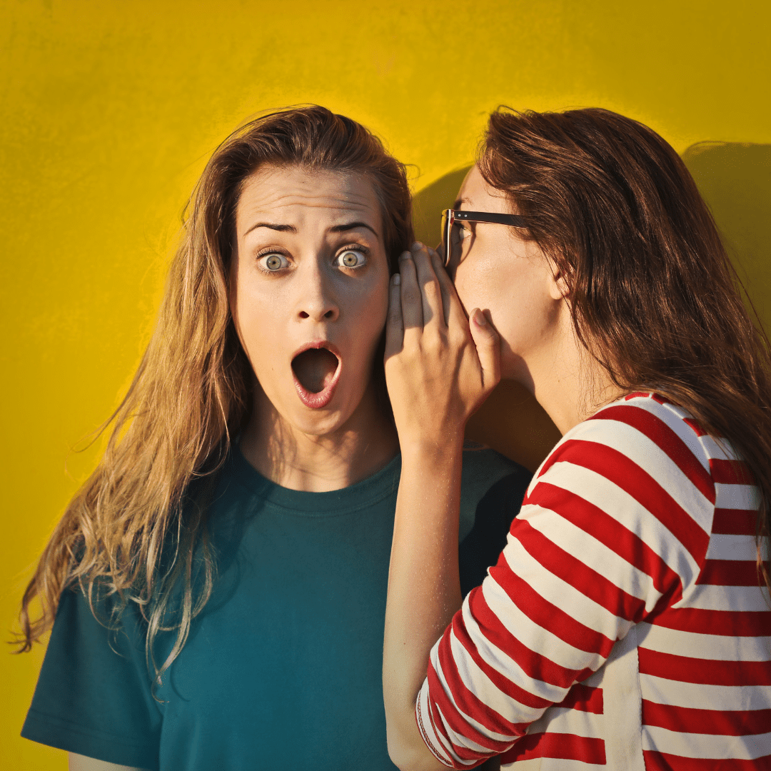 Palatine Township 2023 Assessment Notices Mailed Kensington Research