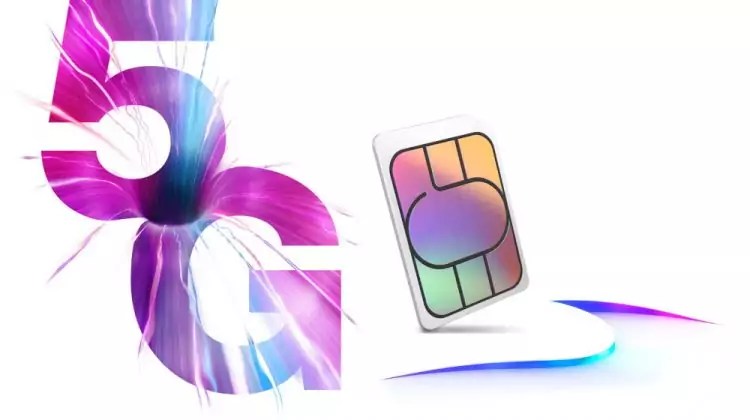 Three Go Roam Review Free Roaming in 71 Destinations (Feel At Home)