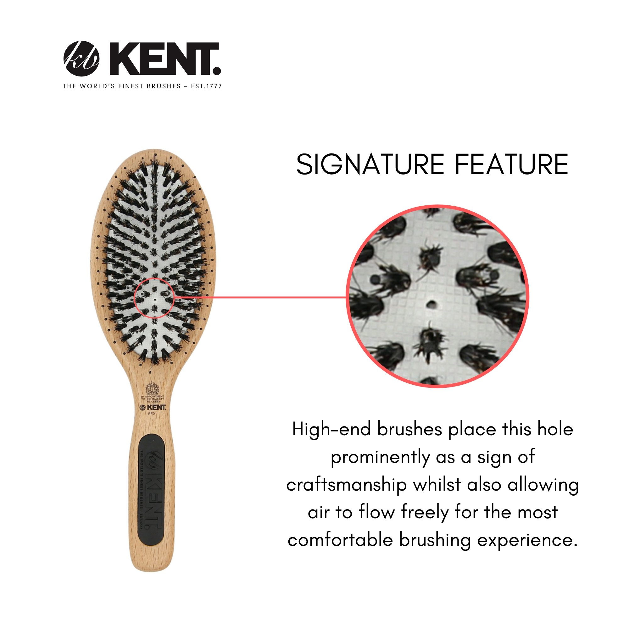 Perfect For PF01 Pure Bristle with Large KENT BRUSHES