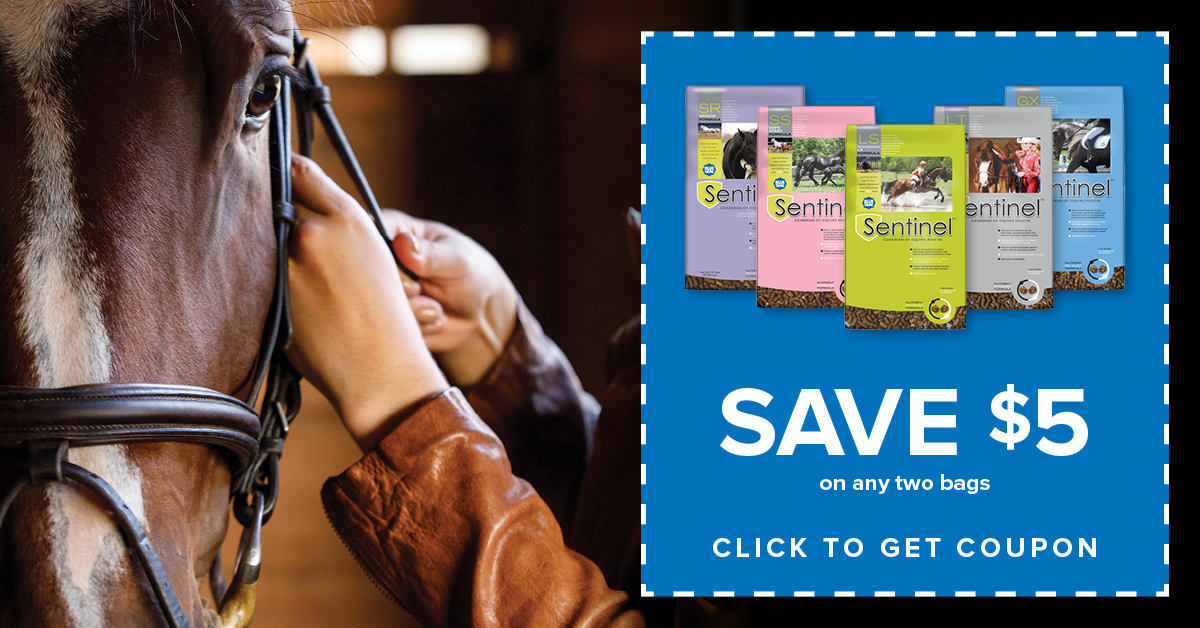 New Year. New Savings!