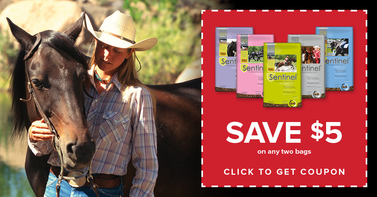 Kent Sentinel Horse Feeds