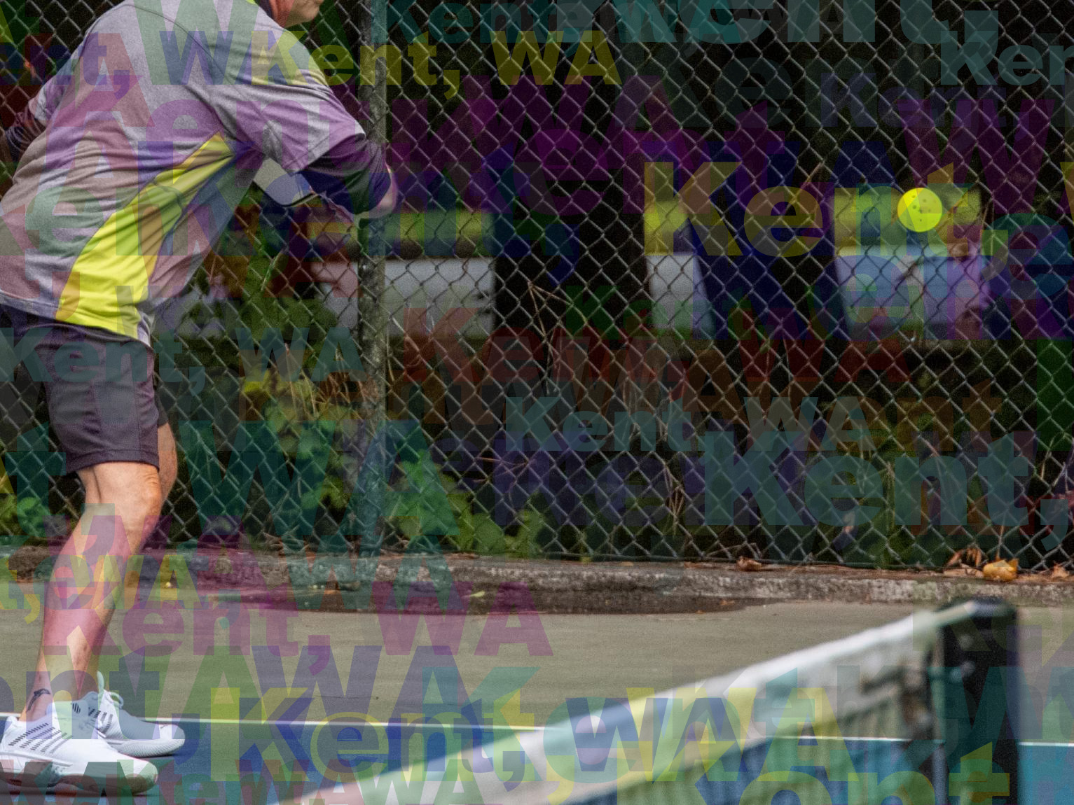 Pickleball in Kent Washington