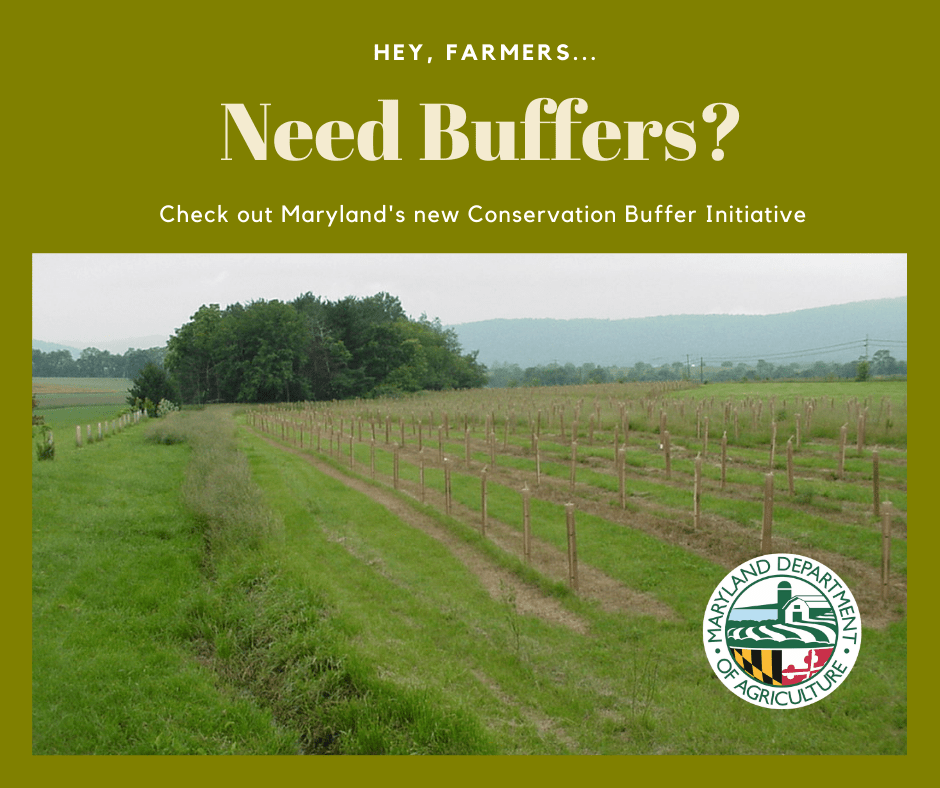 Maryland Department of Agriculture Buffer Initiative Kent Soil and