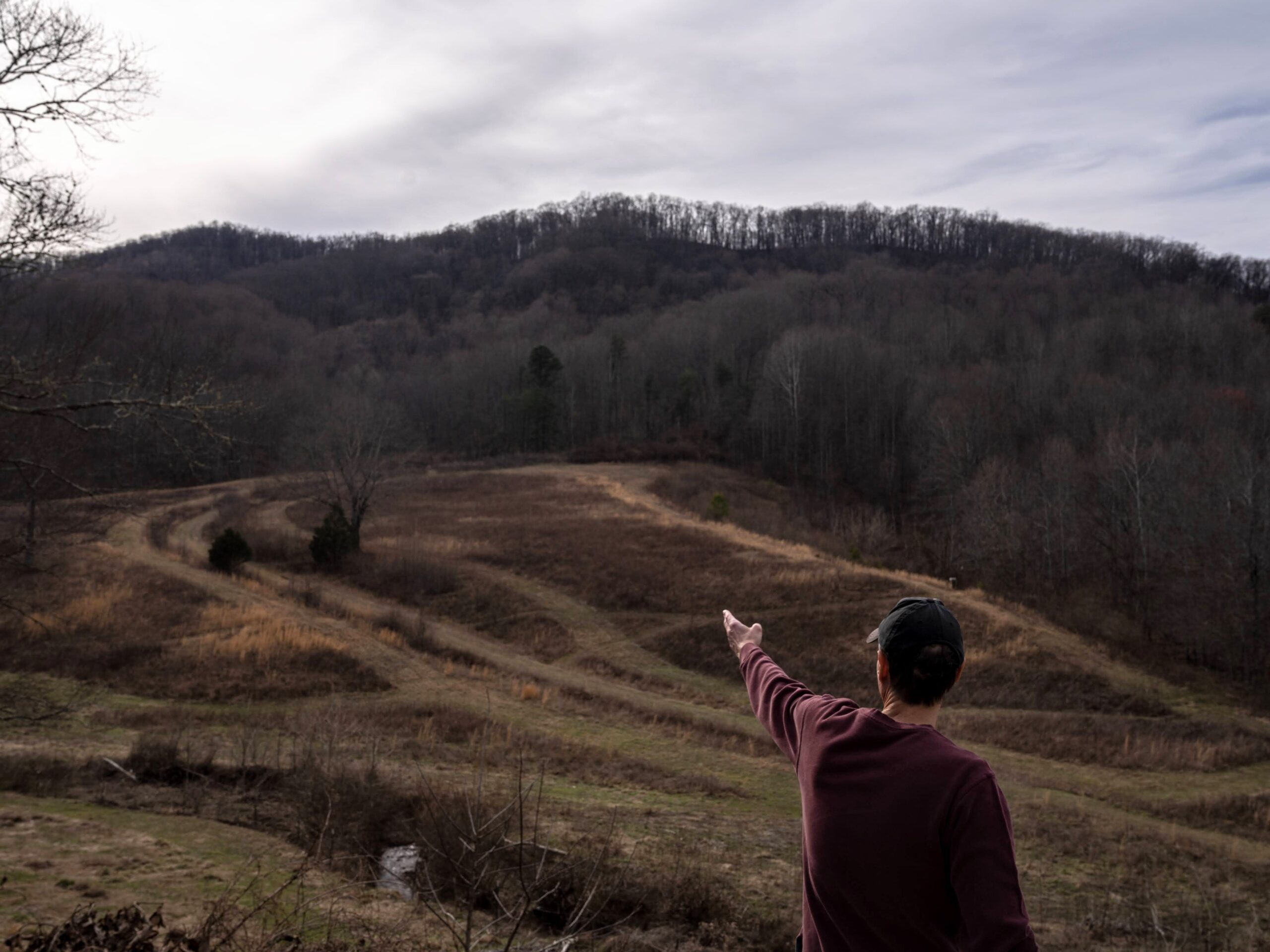 Kentuckians angered by Forest Service plan to log mature trees in