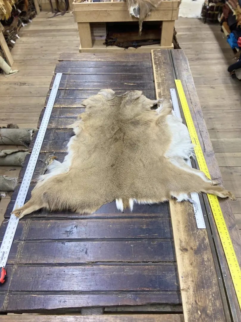 Hairon Deer Hide / Buckskin hide / Shelf7T Kentucky Leather and Hides