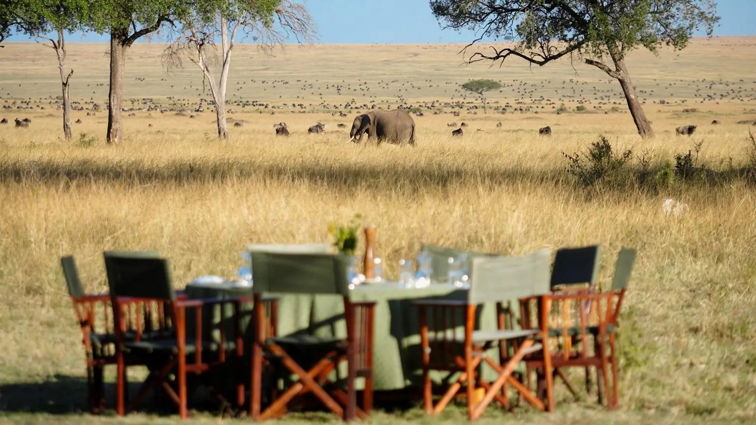 Affordable Kenya Safari Packages Packages, Cost & More