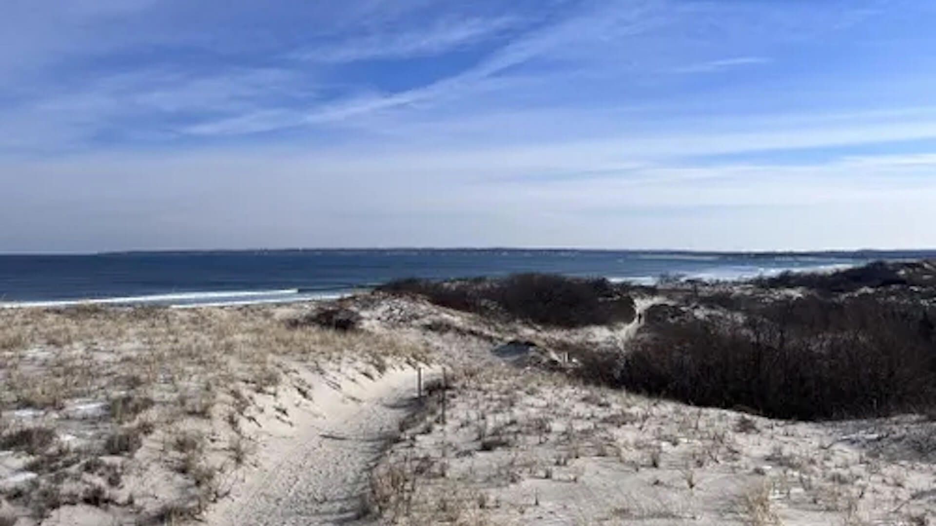 Snowy Owl Dune Trek Keolis massAdventures