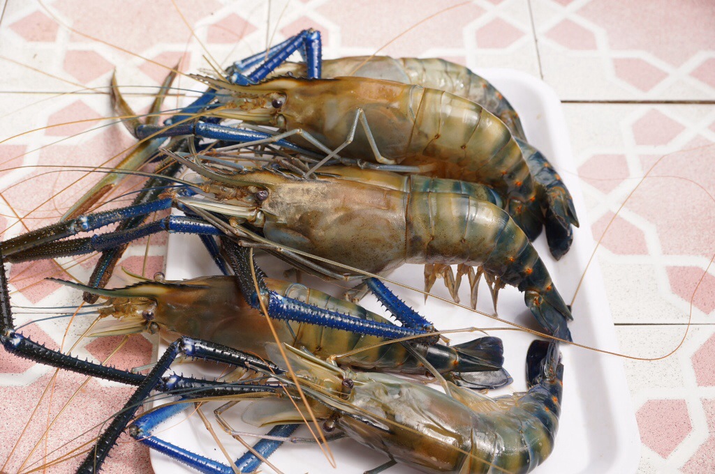 Kepotret Travel food udang galah besar