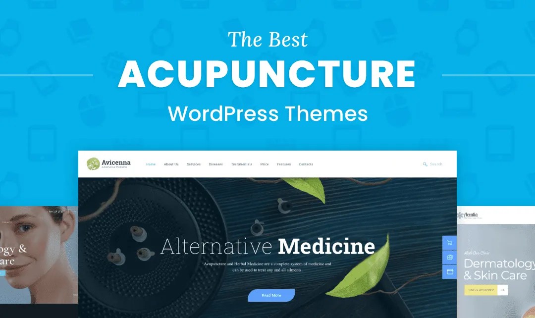 The 8 Best Acupuncture WordPress Themes Compete Themes KERBCO 