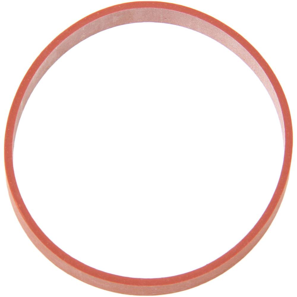 Intake Manifold to EGR Valve O-Ring