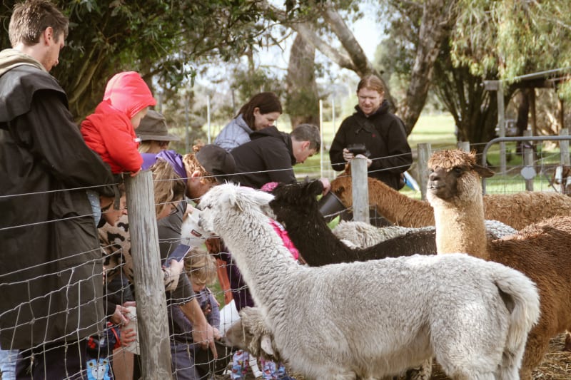 Kerriley Park Farmstay Margaret River farm stay and forest ecoexperience