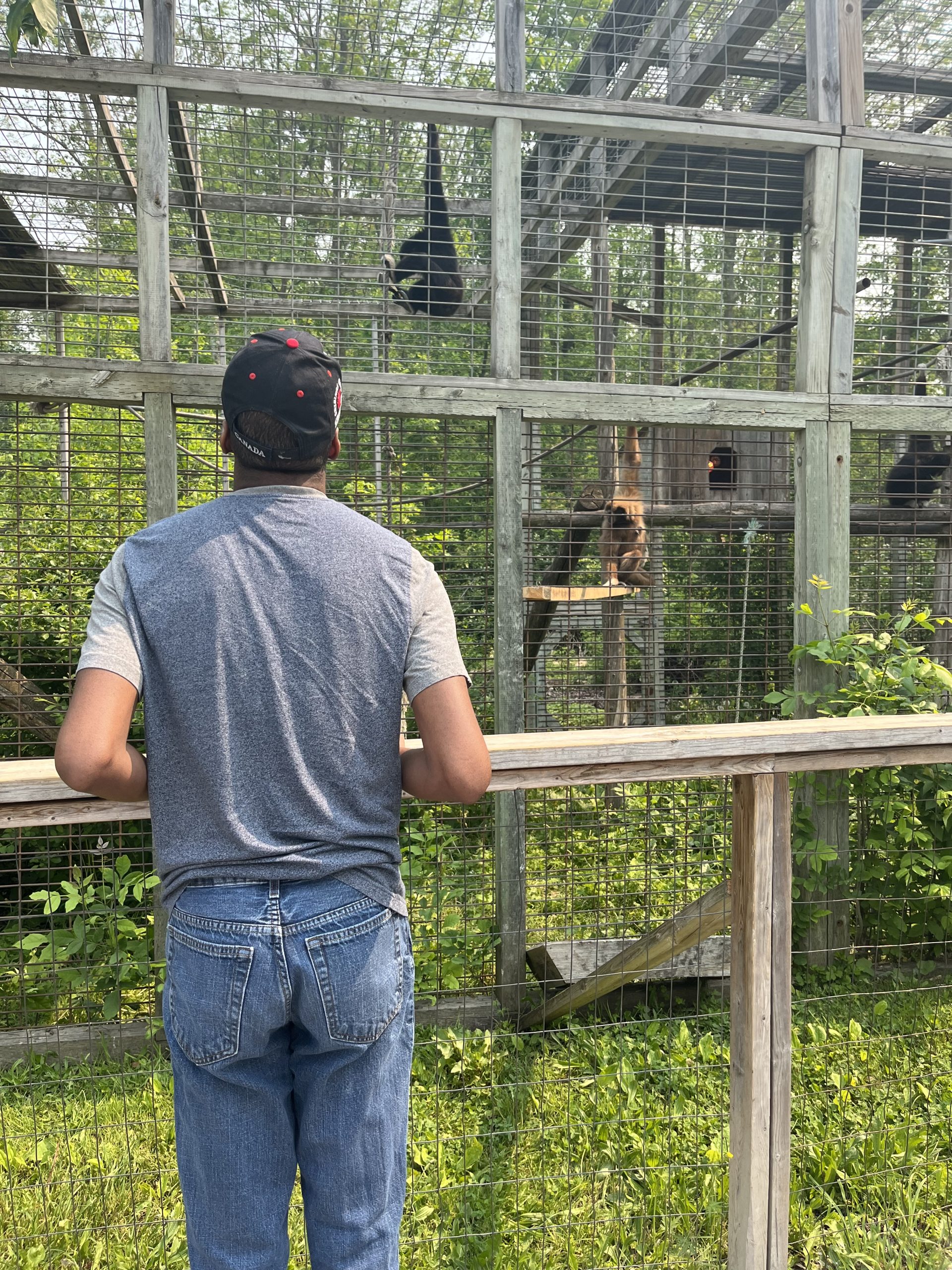 Monkey Business at the Elmvale Zoo! Kerry's Place