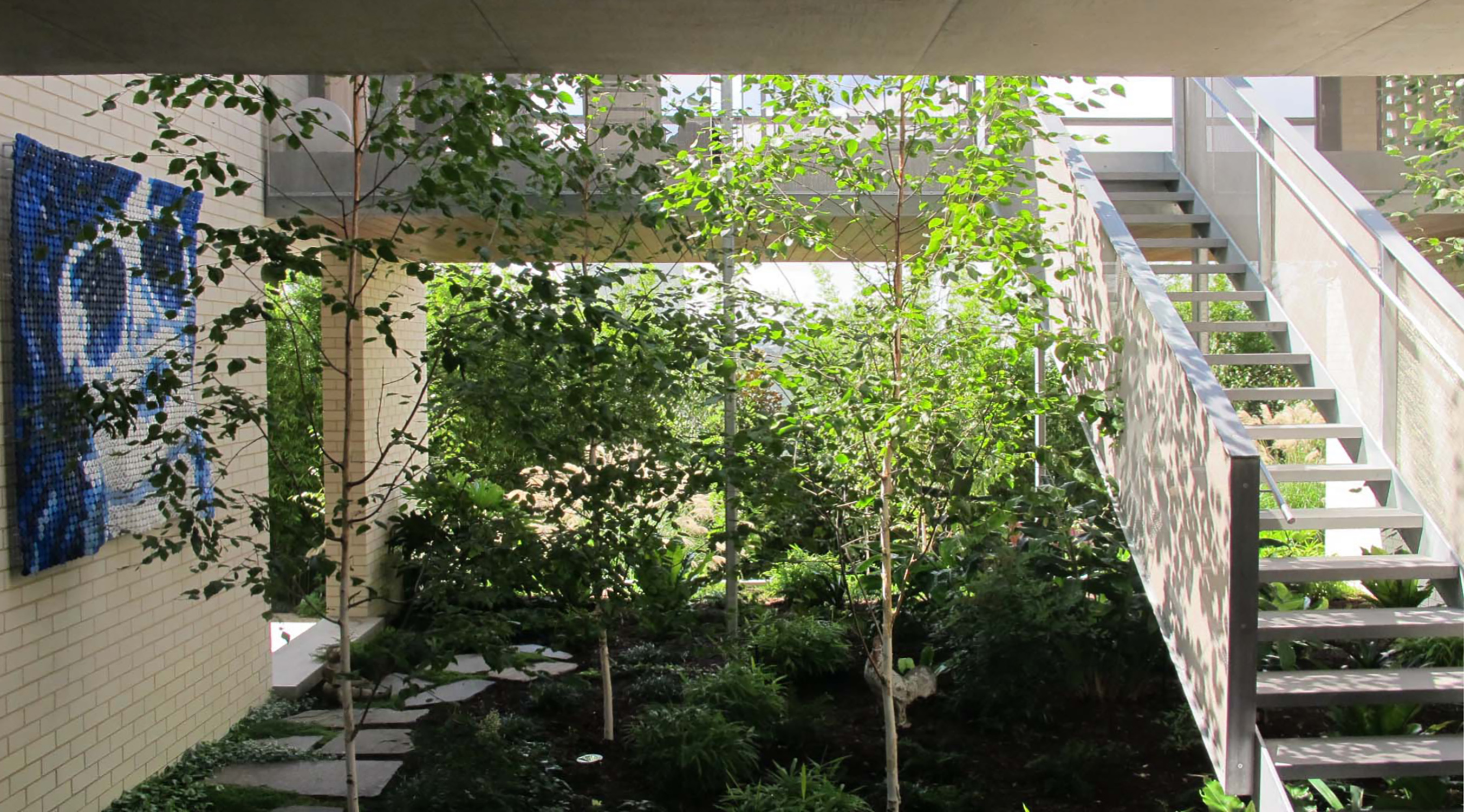 Ivanhoe House Kerstin Thompson Architects