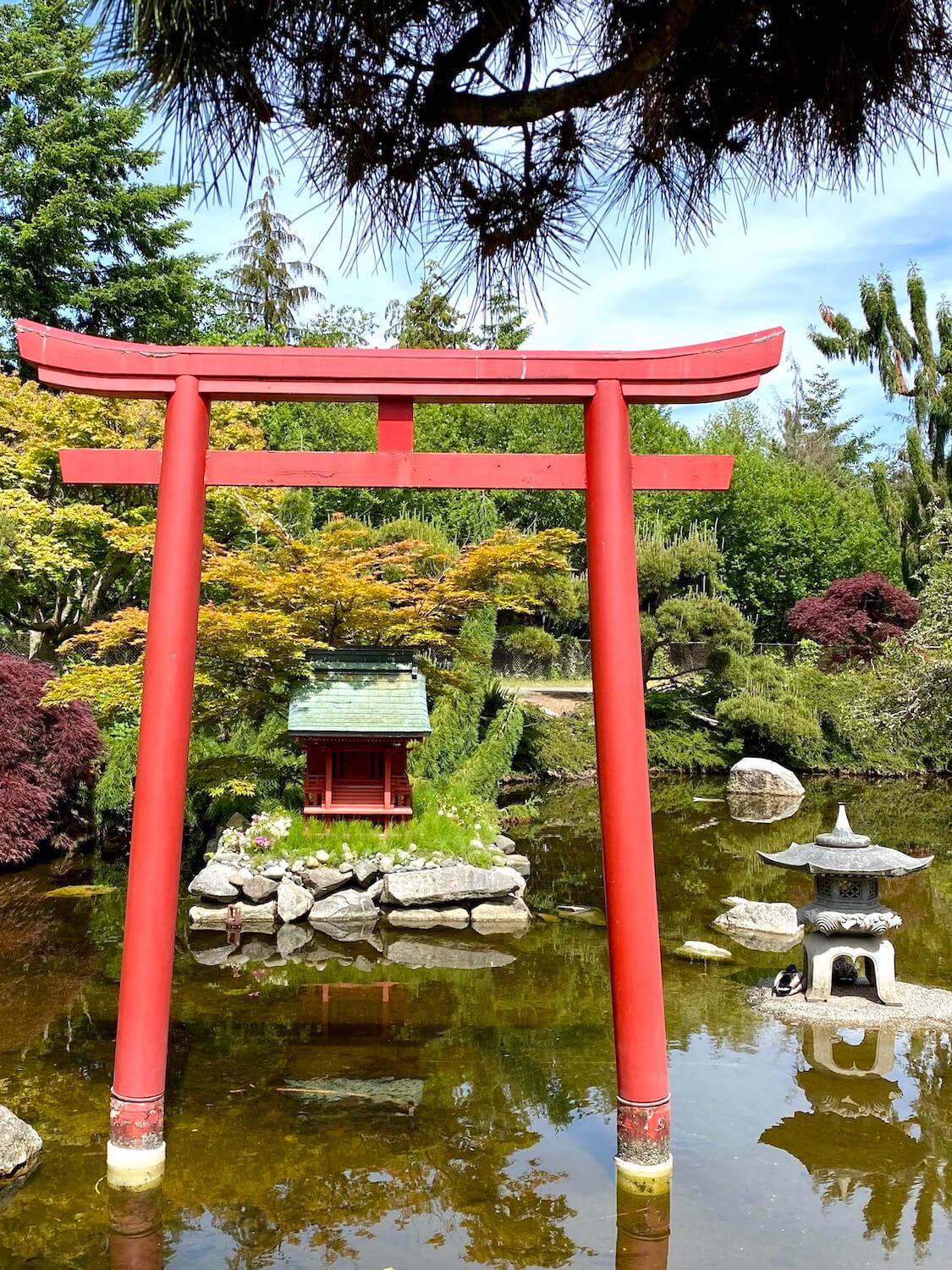The most inspiring Japanese gardens in the Seattle area Kessi World