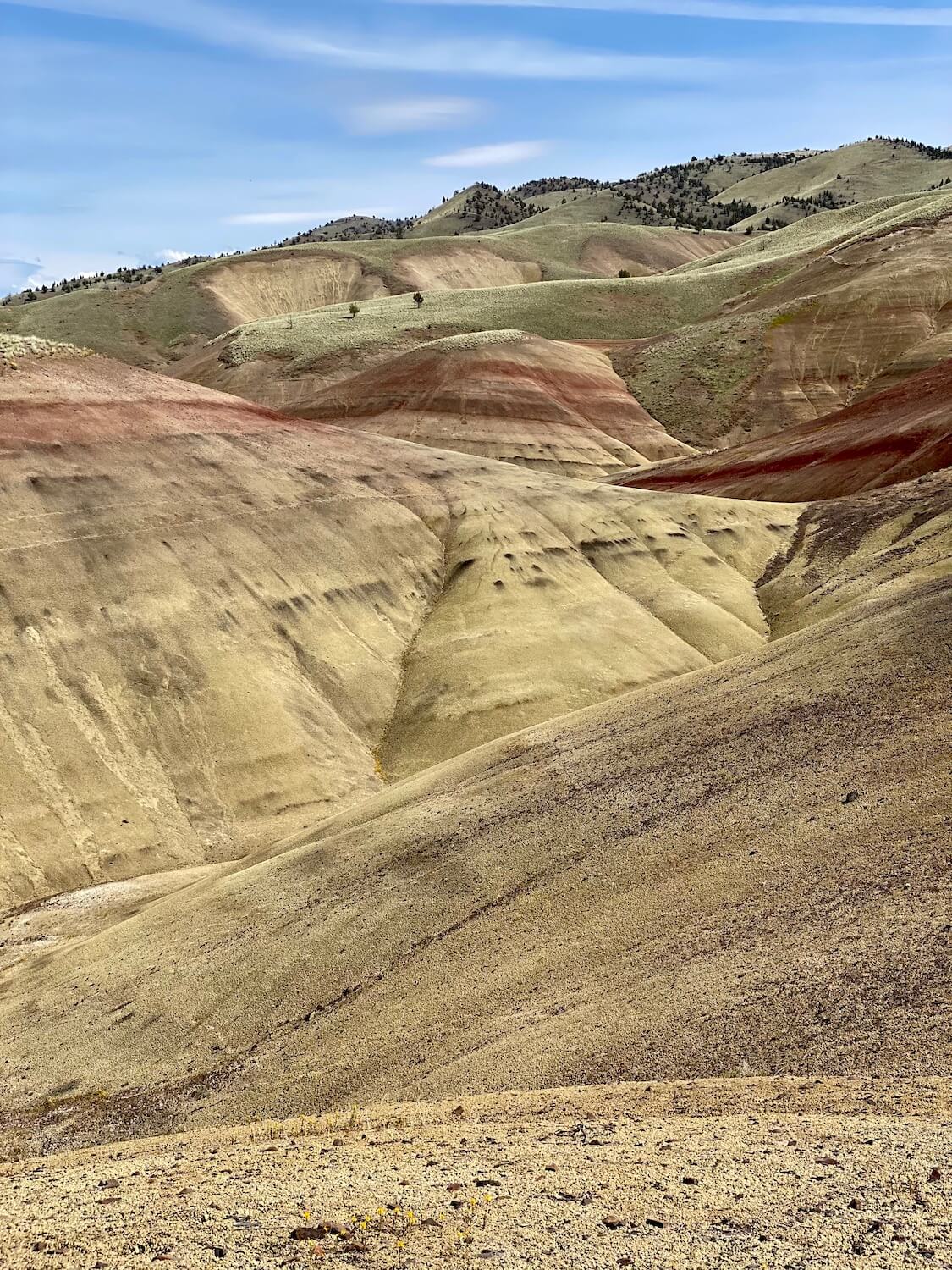 John Day Fossil Beds the best 3day drive itinerary