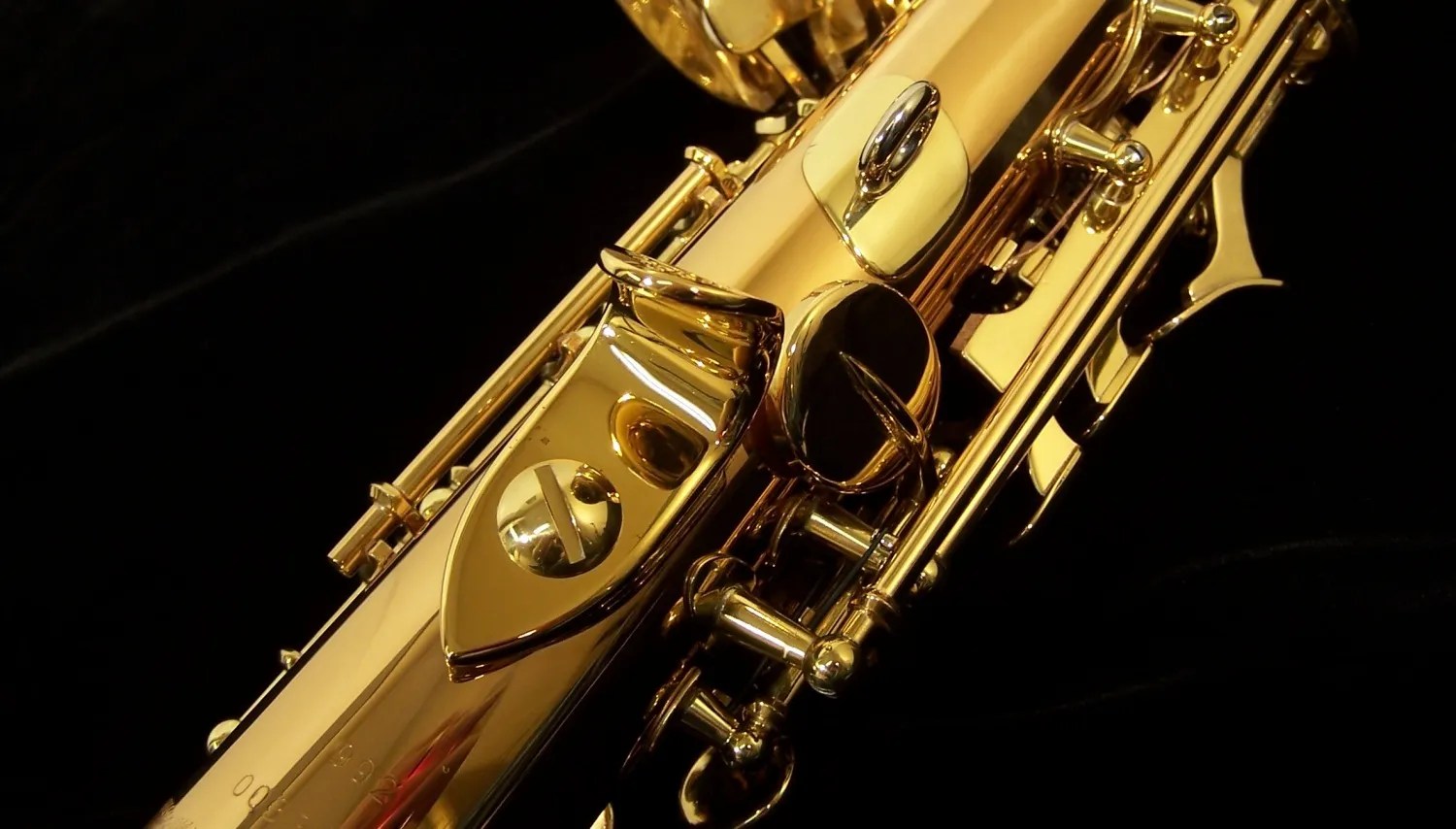 S992 Yanagisawa Bronze Pro Dual Neck Soprano Sax