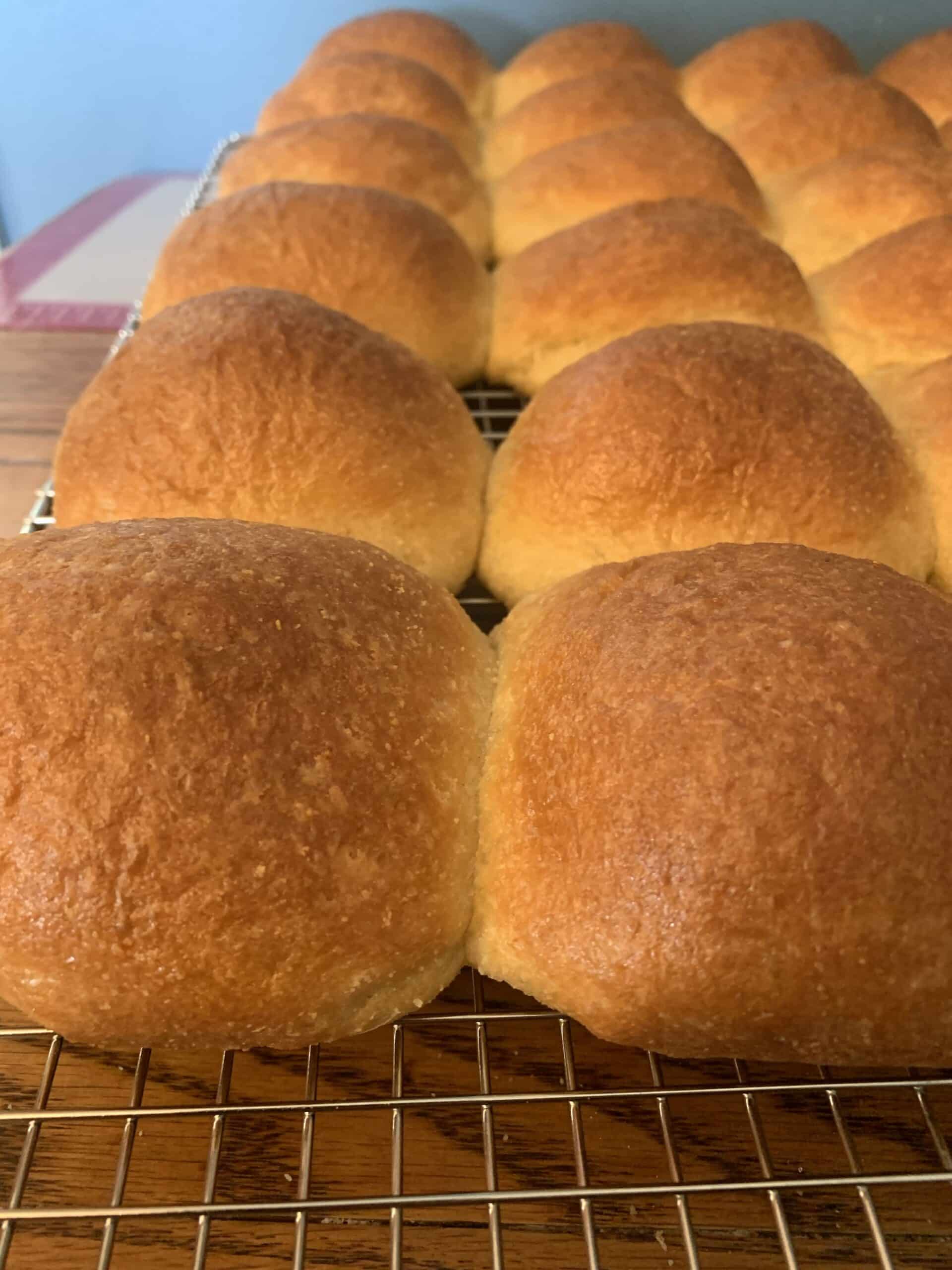 6 Keto Hamburger Buns Keto Bread Calgary